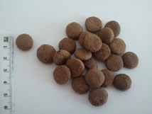 Junior Crunch