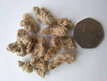 Trusty Terrier Meal
